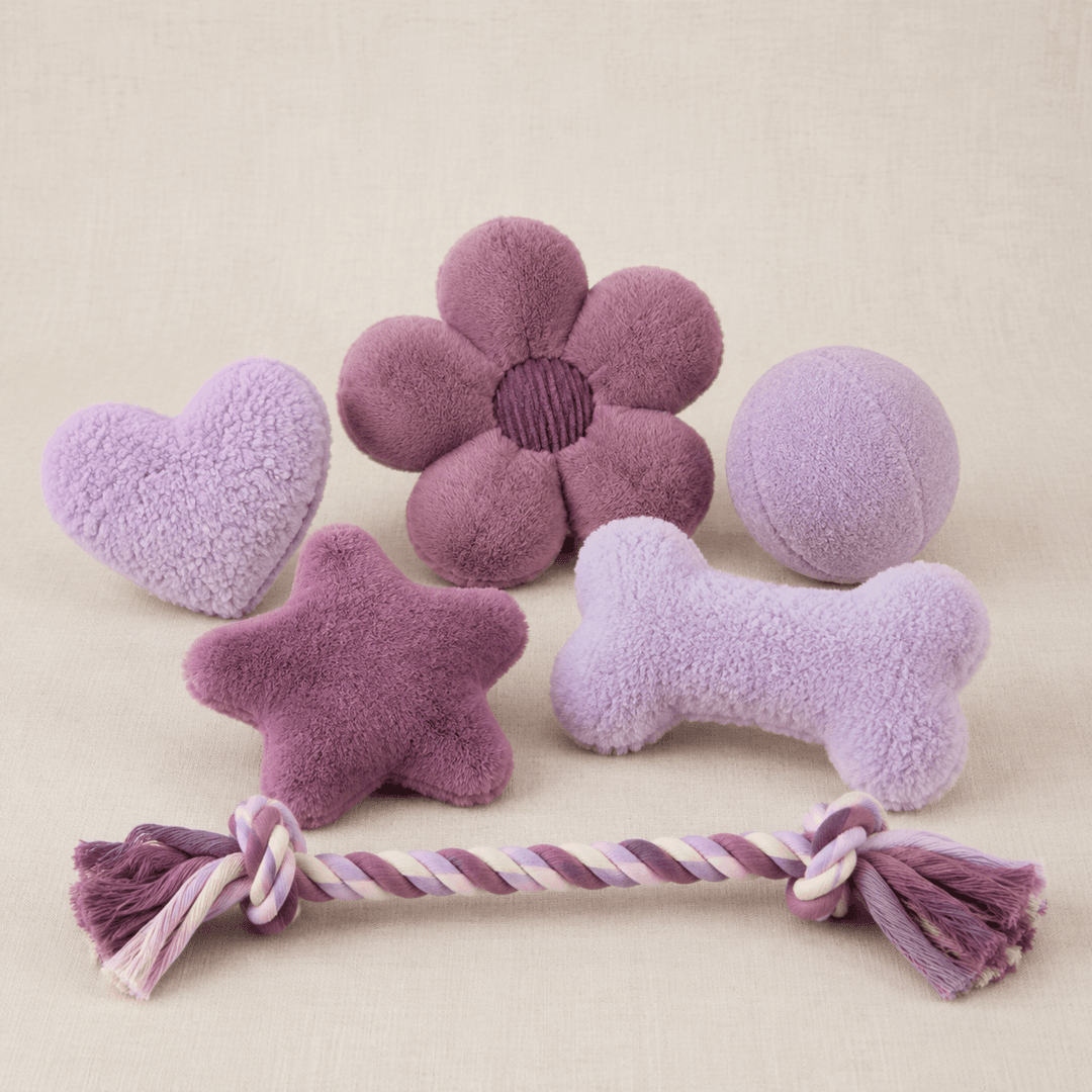 Soft Play Toy Set
